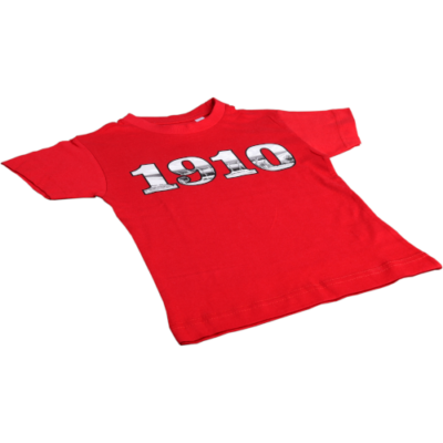 Gyerek - 1910 felirat, DVTK Stadion fotóval - piros póló